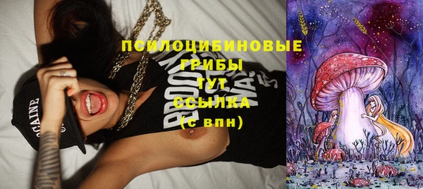кристаллы Бородино