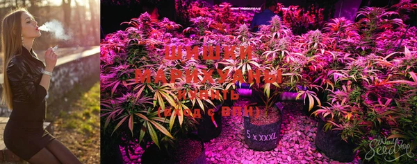 apvp Карталы