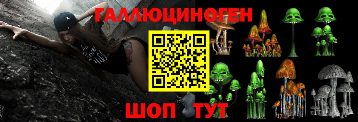Псилоцибиновые грибы MAGIC MUSHROOMS  купить   Барнаул  Псилоцибиновые грибы GOLDEN TEACHER  Вход с VPN 
